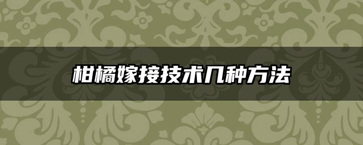 柑橘嫁接技术几种方法