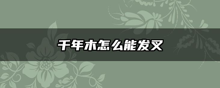 千年木怎么能发叉