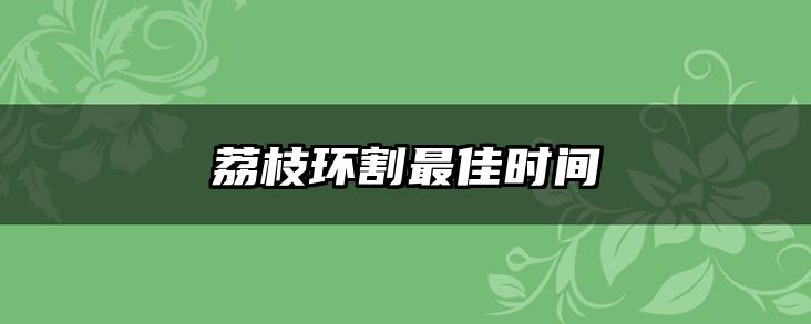 荔枝环割最佳时间