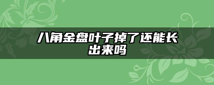 八角金盘叶子掉了还能长出来吗