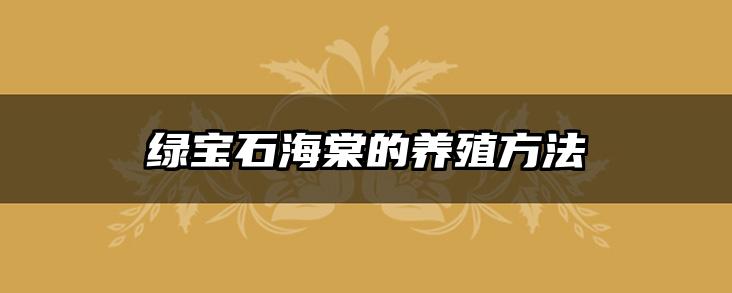 绿宝石海棠的养殖方法
