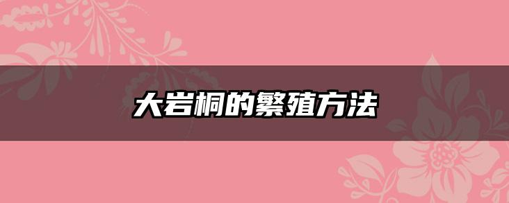 大岩桐的繁殖方法