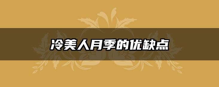 冷美人月季的优缺点
