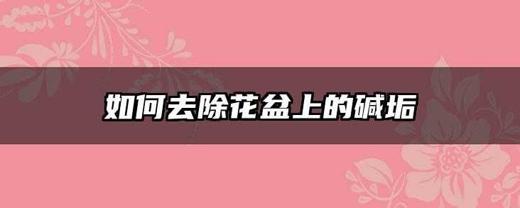 如何去除花盆上的碱垢