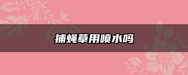 捕蝇草用喷水吗