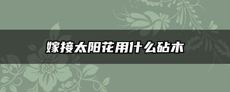 嫁接太阳花用什么砧木