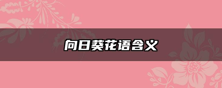 向日葵花语含义