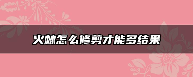 火棘怎么修剪才能多结果