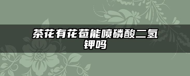 茶花有花苞能喷磷酸二氢钾吗