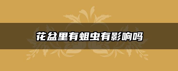 花盆里有蛆虫有影响吗