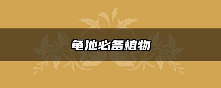 龟池必备植物