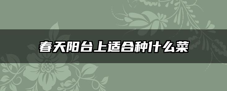 春天阳台上适合种什么菜