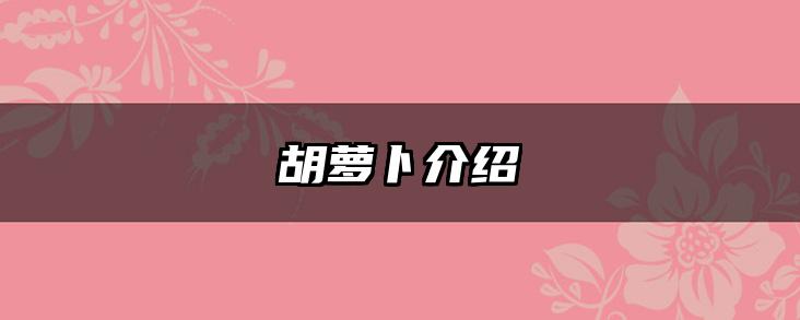 胡萝卜介绍