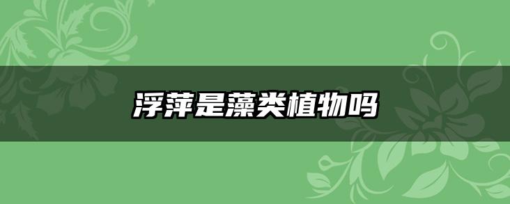 浮萍是藻类植物吗
