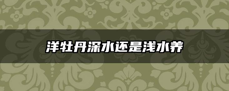 洋牡丹深水还是浅水养
