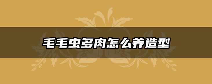 毛毛虫多肉怎么养造型