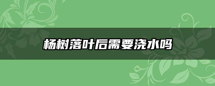 杨树落叶后需要浇水吗
