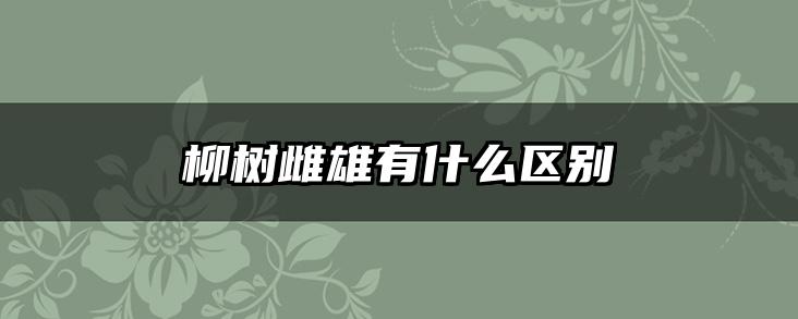 柳树雌雄有什么区别
