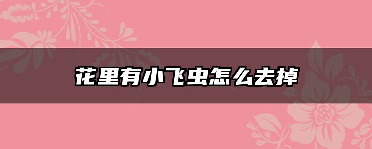 花里有小飞虫怎么去掉