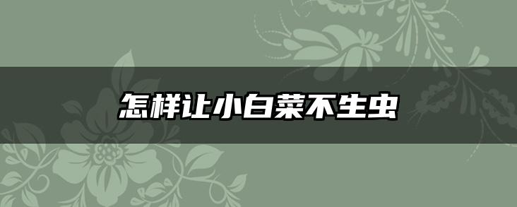 怎样让小白菜不生虫