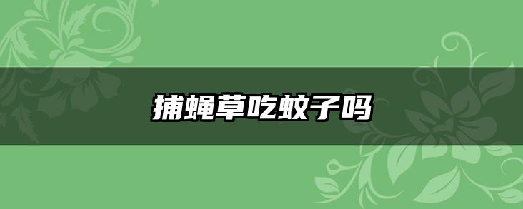 捕蝇草吃蚊子吗