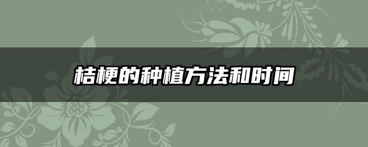桔梗的种植方法和时间