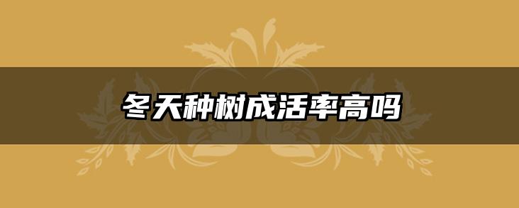 冬天种树成活率高吗