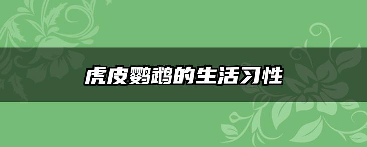 虎皮鹦鹉的生活习性