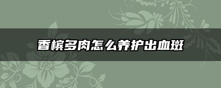 香槟多肉怎么养护出血斑