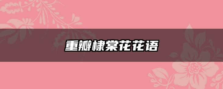 重瓣棣棠花花语