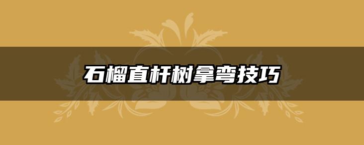 石榴直杆树拿弯技巧