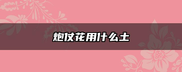 炮仗花用什么土