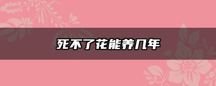 死不了花能养几年