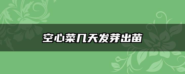 空心菜几天发芽出苗
