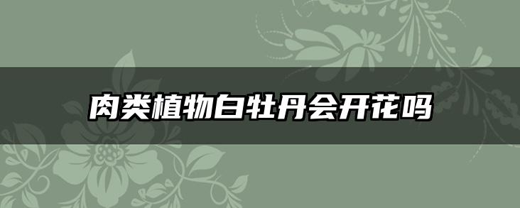 肉类植物白牡丹会开花吗