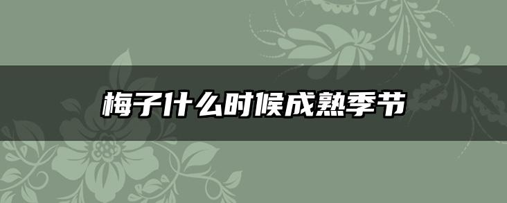 梅子什么时候成熟季节