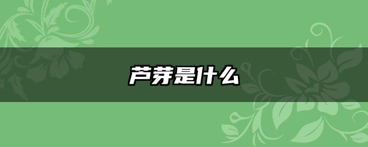 芦芽是什么