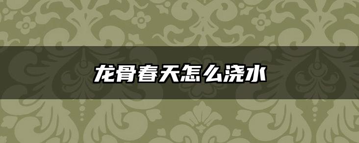龙骨春天怎么浇水