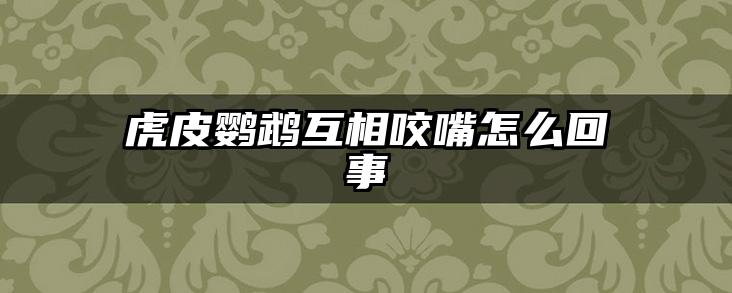 虎皮鹦鹉互相咬嘴怎么回事