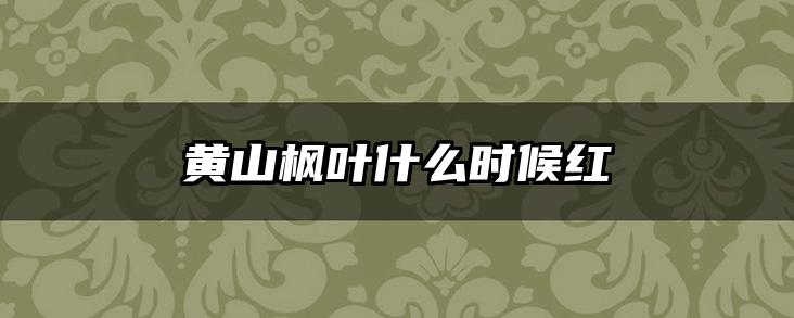 黄山枫叶什么时候红