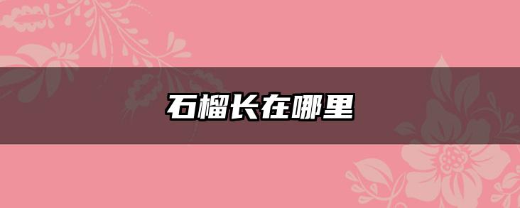 石榴长在哪里