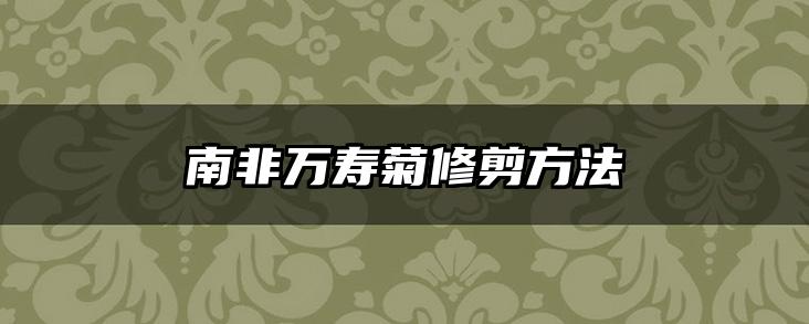 南非万寿菊修剪方法