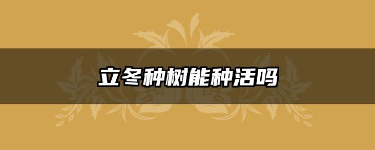 立冬种树能种活吗