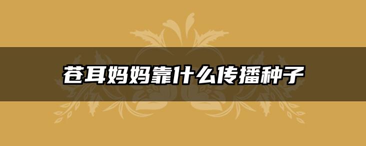 苍耳妈妈靠什么传播种子