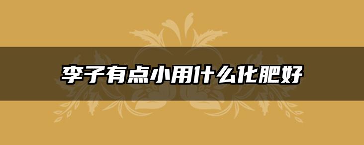 李子有点小用什么化肥好