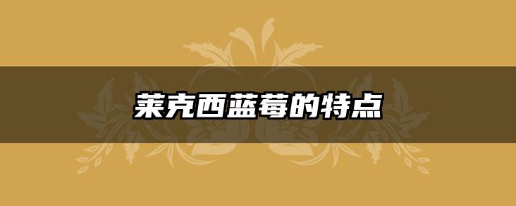 莱克西蓝莓的特点