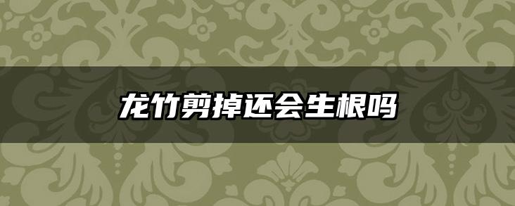 龙竹剪掉还会生根吗
