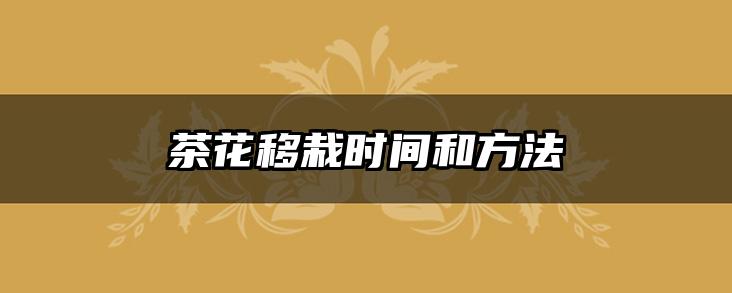 茶花移栽时间和方法