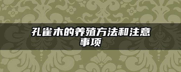 孔雀木的养殖方法和注意事项