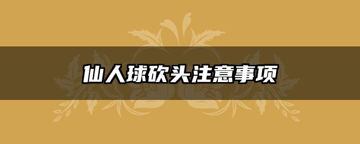 仙人球砍头注意事项